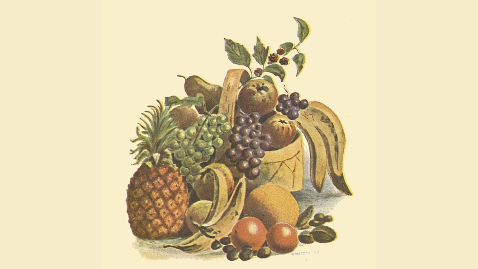 Illustration av olika frukter i och runt en korg.