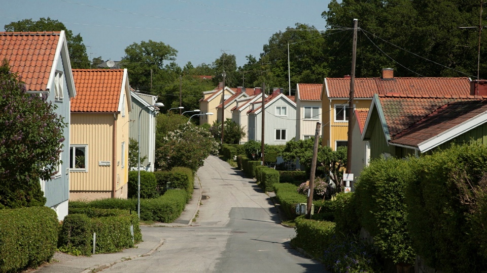 Villor längs förortsgata. Foto.