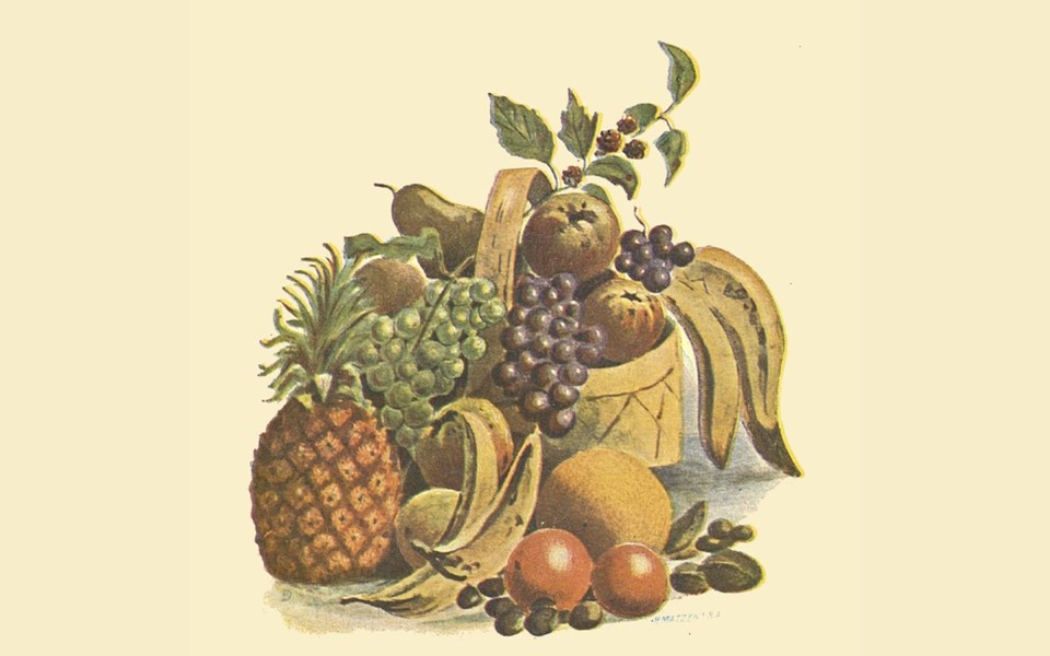Illustration av olika frukter i och runt en korg.